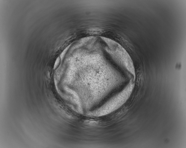 X0000111120655200907211051