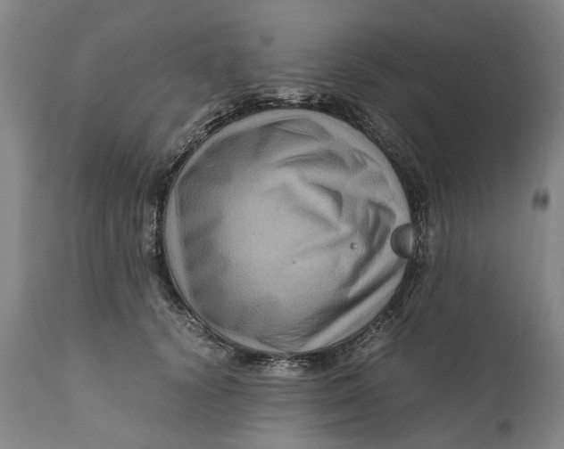 X0000111120656200907211051