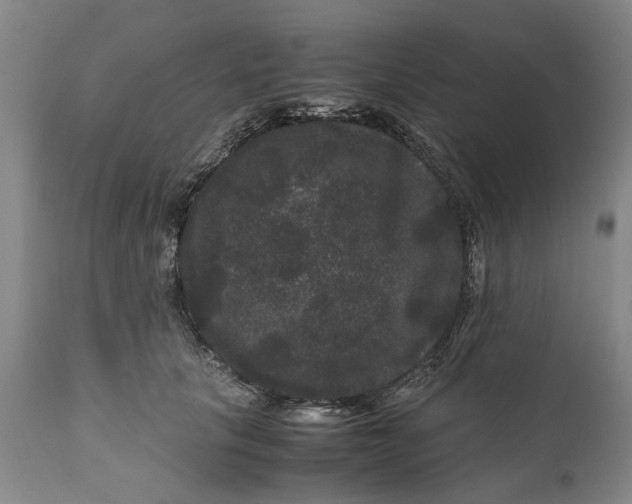 X0000111120657200907211051