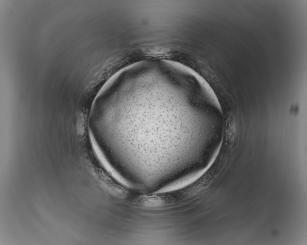 X0000111120658200907211051