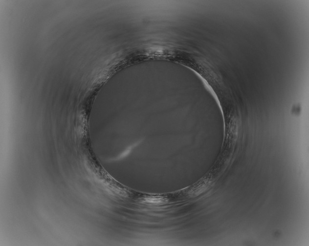 X0000111120659200907211051