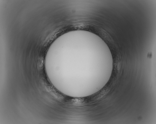 X0000111120660200907211051