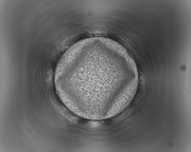 X0000111120662200907211051
