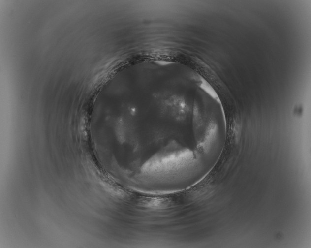 X0000111120663200907211051