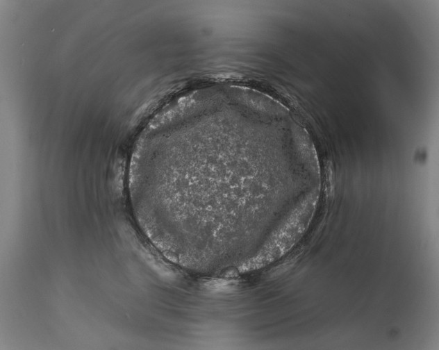X0000111120664200907211051