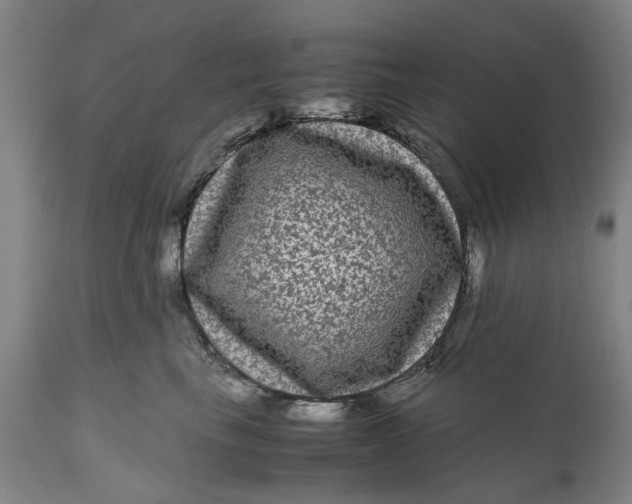 X0000111120665200907211051