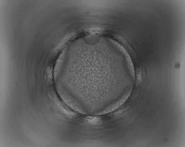 X0000111120667200907211051