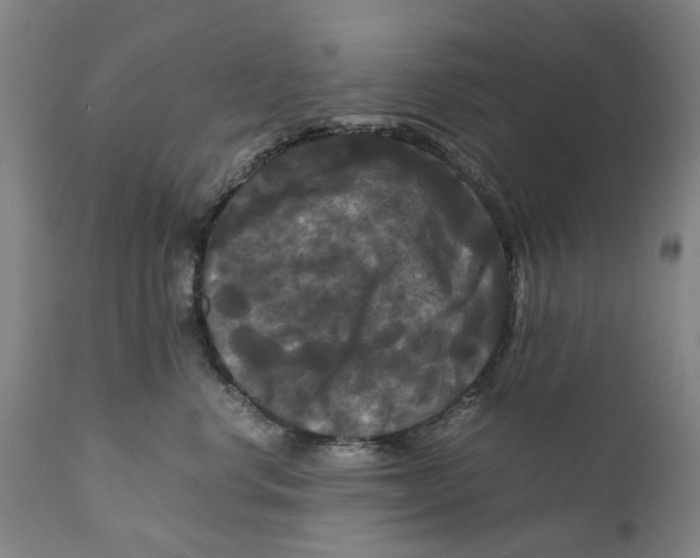 X0000111120668200907211051