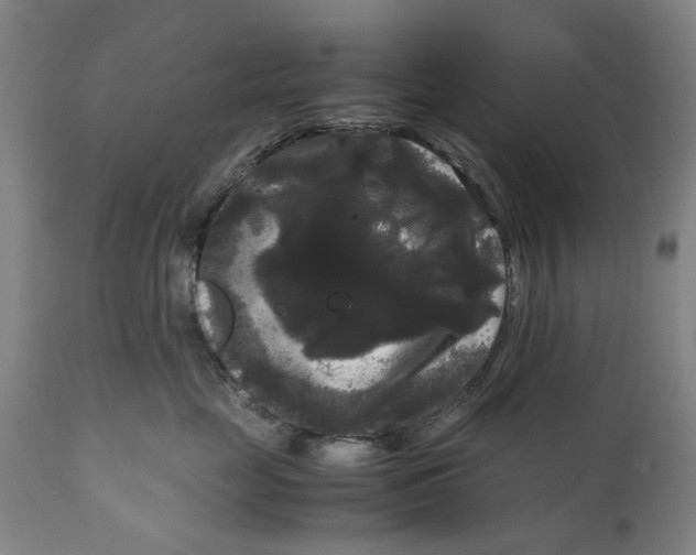 X0000111120669200907211051