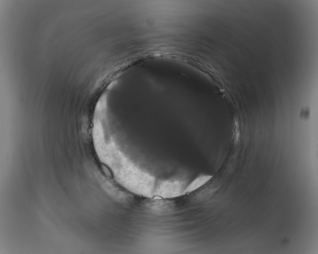 X0000111120670200907211051