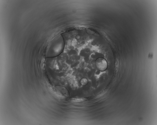 X0000111120671200907211051