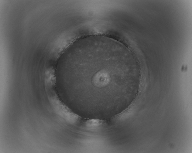 X0000111120672200907211051