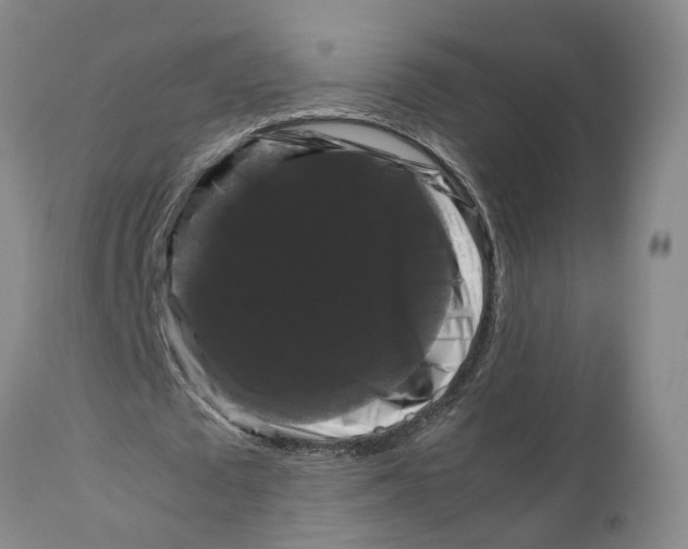 X0000111120673200907211051
