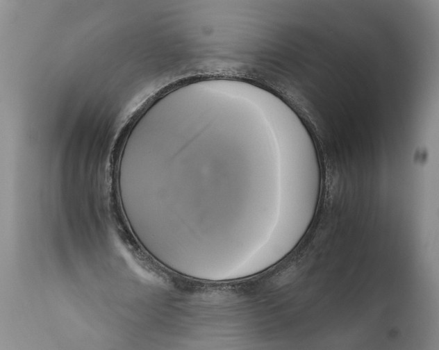 X0000111120674200907211051