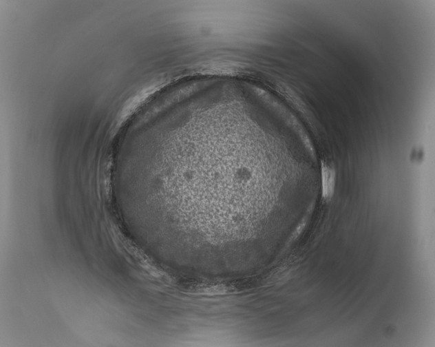 X0000111120675200907211051