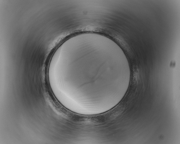 X0000111120678200907211050