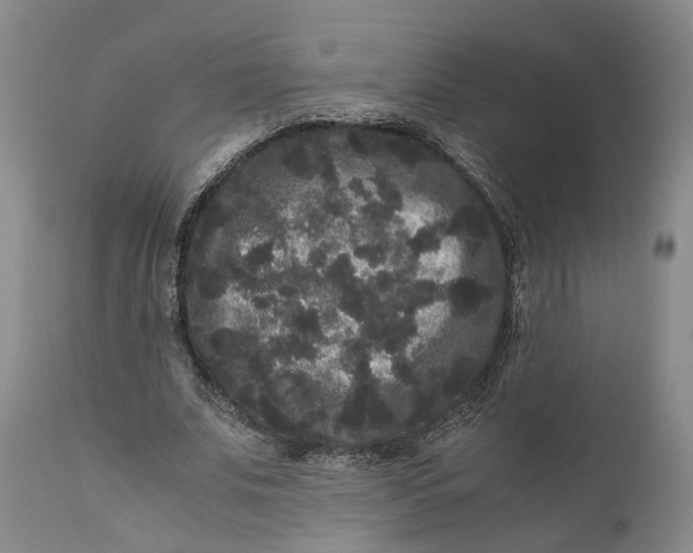 X0000111120679200907211050
