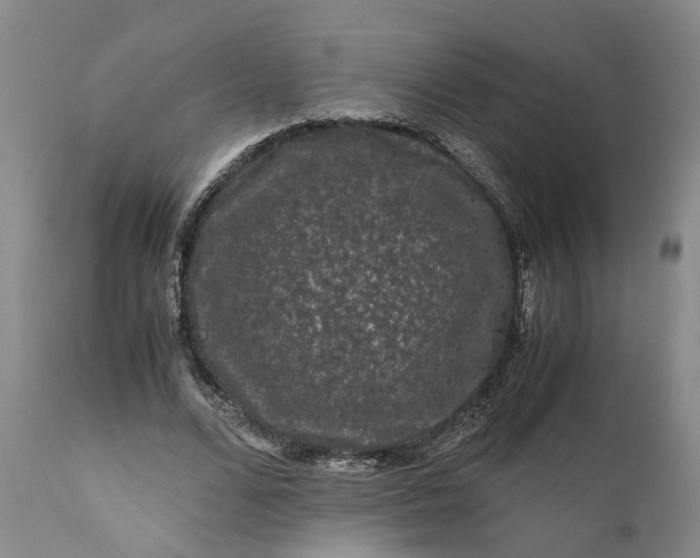 X0000111120680200907211050