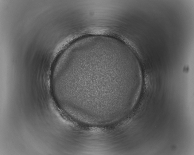 X0000111120682200907211050