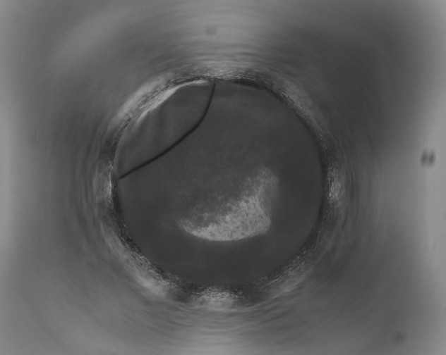 X0000111120685200907211050