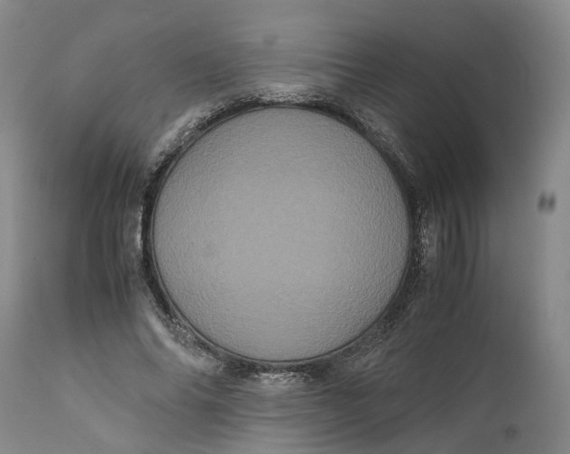 X0000111120686200907211050