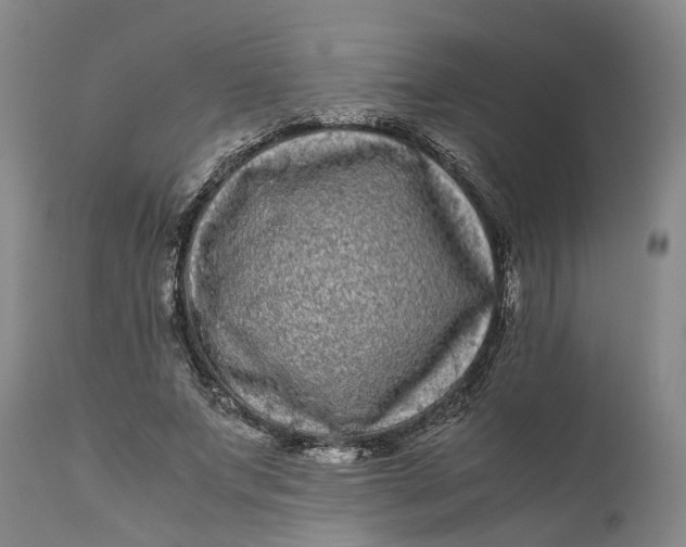 X0000111120687200907211050