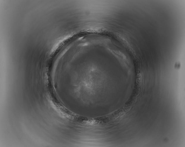 X0000111120688200907211050