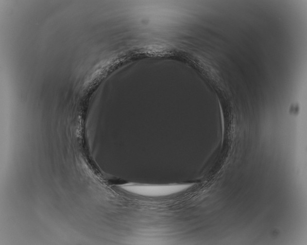 X0000111120689200907211050