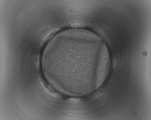 X0000111120690200907211050