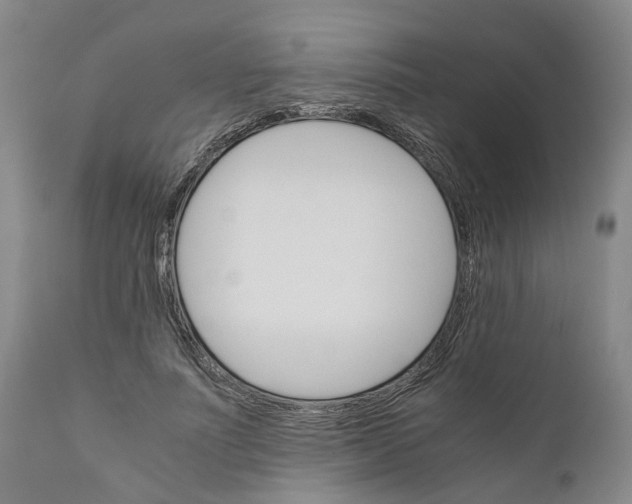 X0000111120691200907211050