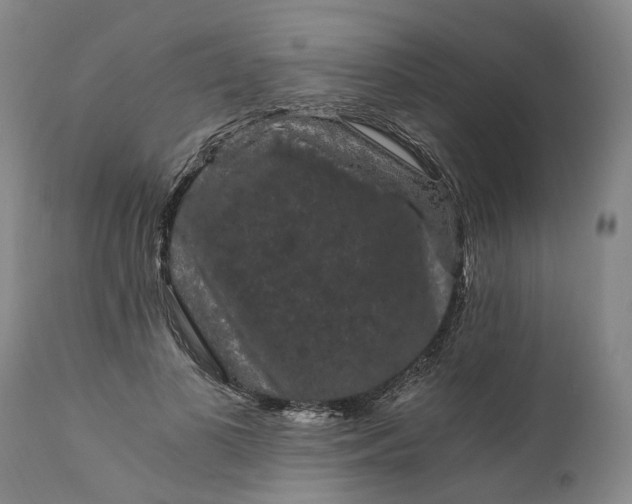 X0000111120693200907211050