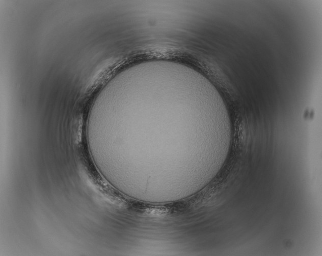 X0000111120694200907211050