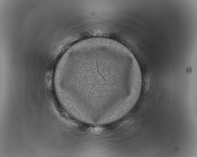 X0000111120695200907211050