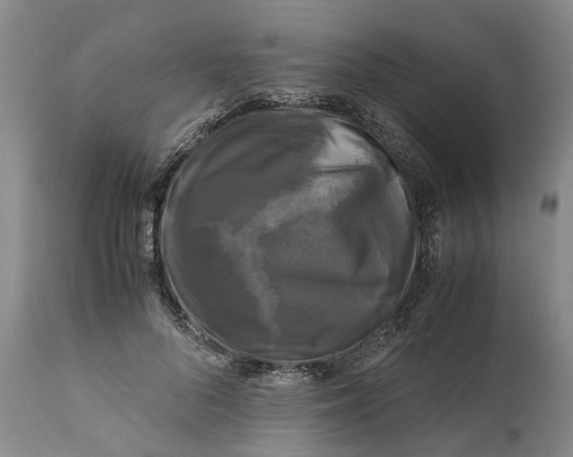 X0000111120696200907211050