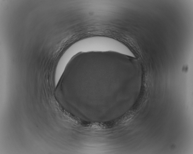 X0000111120697200907211050