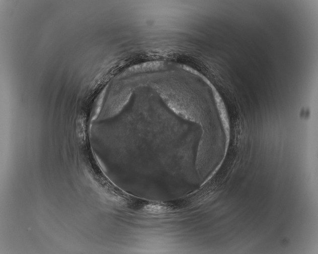 X0000111120699200907211050