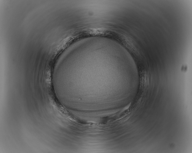 X0000111120700200907211050