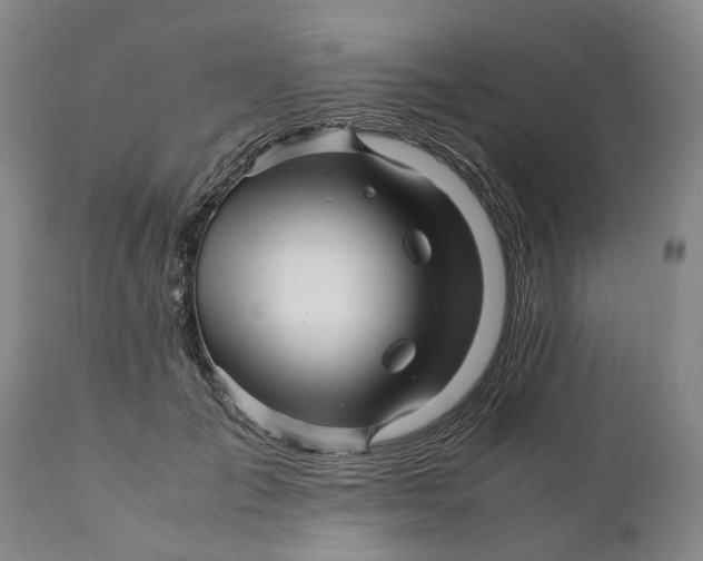 X0000111120701200907211050