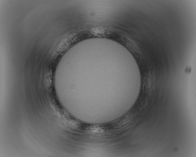 X0000111120702200907211050