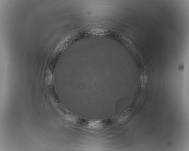 X0000111120705200907211050