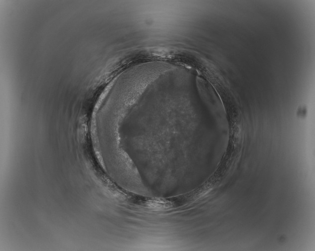 X0000111120707200907211050