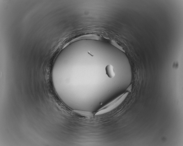 X0000111120708200907211050
