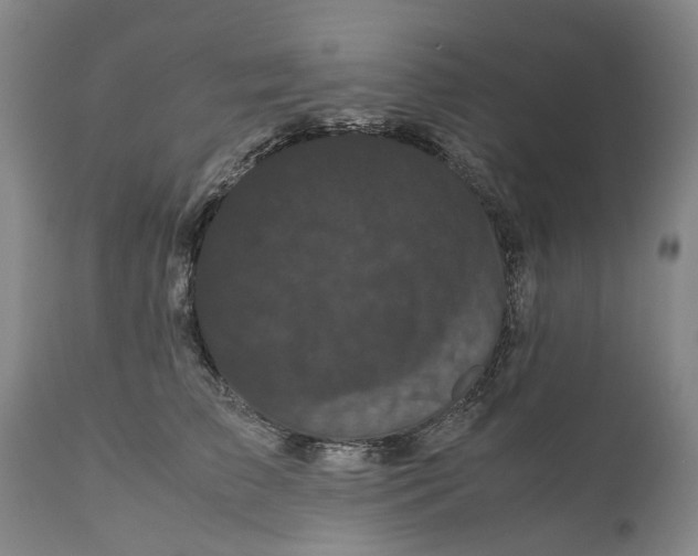 X0000111120709200907211050