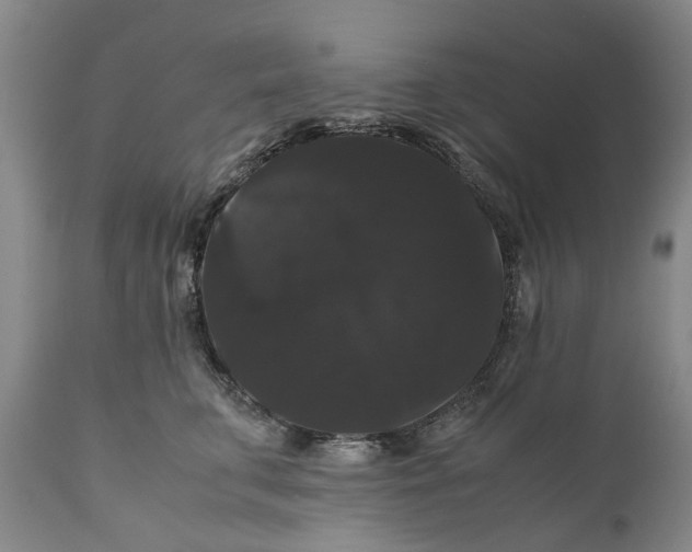 X0000111120711200907211050
