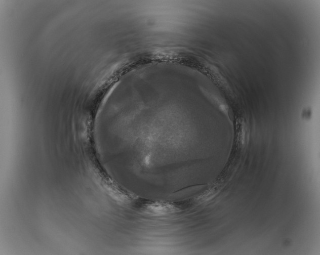 X0000111120712200907211050