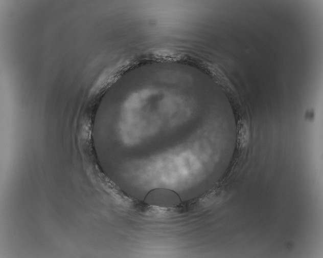 X0000111120713200907211050