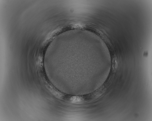 X0000111120714200907211050