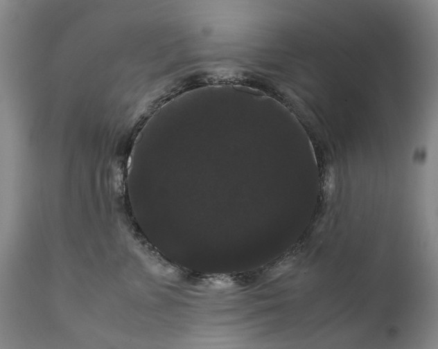 X0000111120715200907211050