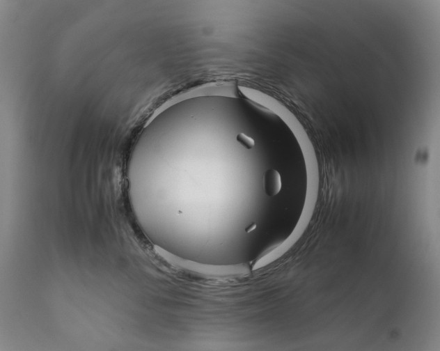X0000111120716200907211050