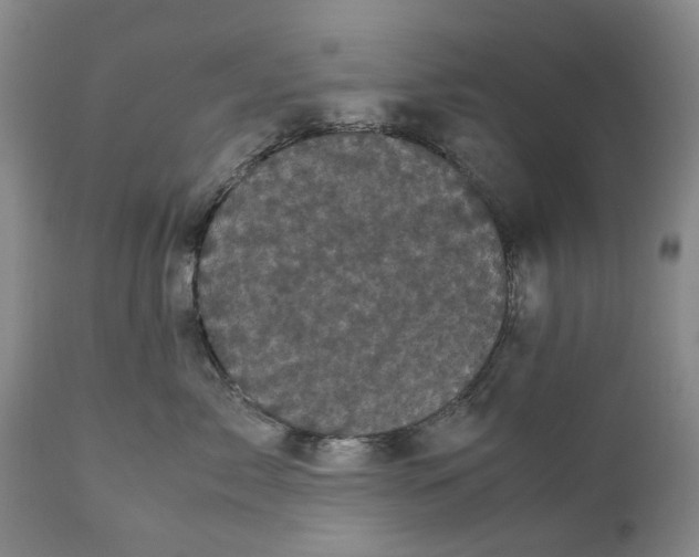 X0000111120717200907211050